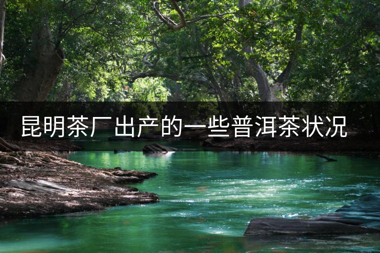 昆明茶廠出產(chǎn)的一些普洱茶狀況是怎樣？