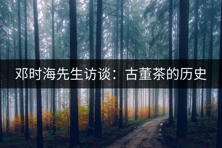 鄧時(shí)海先生訪談:古董茶的歷史 鄧時(shí)海先生訪談:古董茶的歷史
