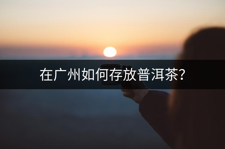 在廣州如何存放普洱茶？