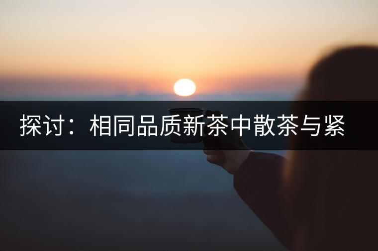 探討：相同品質新茶中散茶與緊壓茶哪個好？