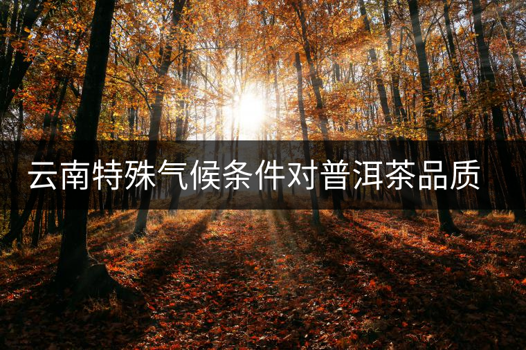 云南特殊氣候條件對(duì)普洱茶品質(zhì)的影響