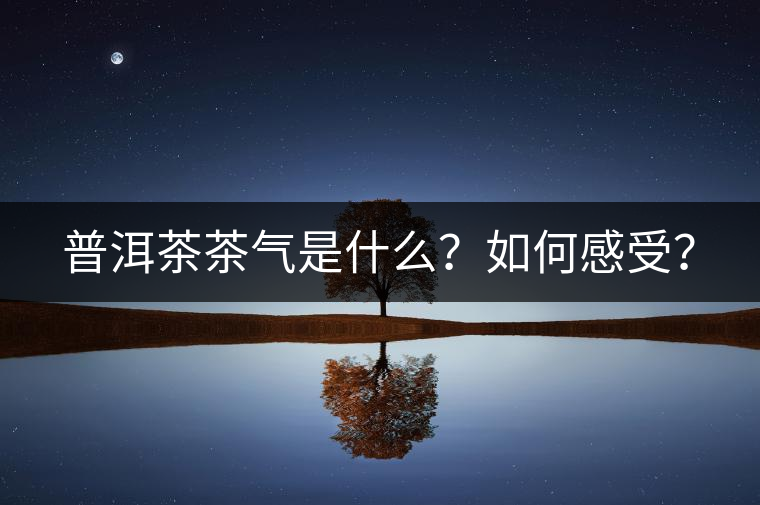 普洱茶茶氣是什么？如何感受？