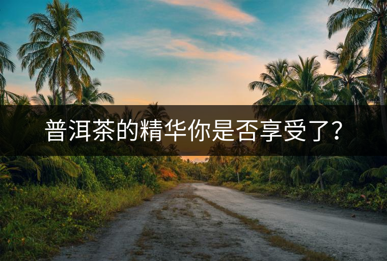普洱茶的精華你是否享受了？