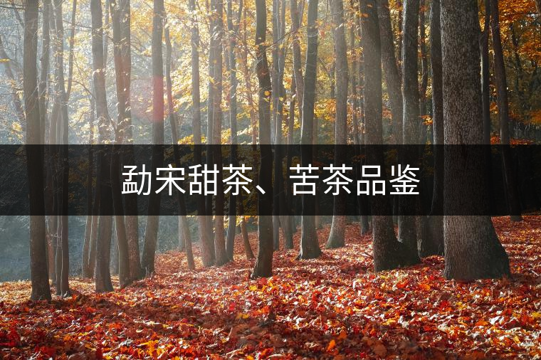 勐宋甜茶、苦茶品鑒