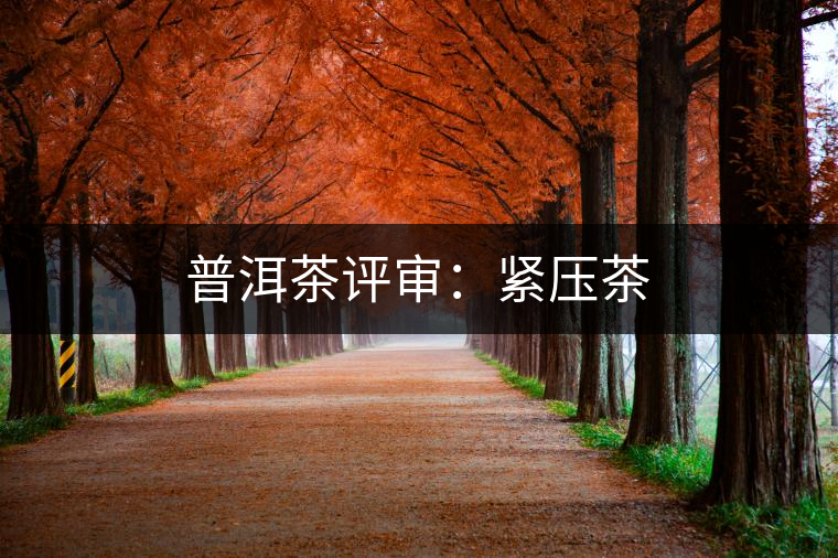 普洱茶評審:緊壓茶 普洱茶評審:緊壓茶