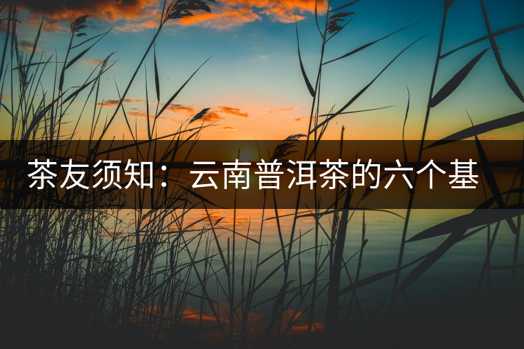 茶友須知:云南普洱茶的六個基本問題 茶友須知:云南普洱茶的六個基本問題