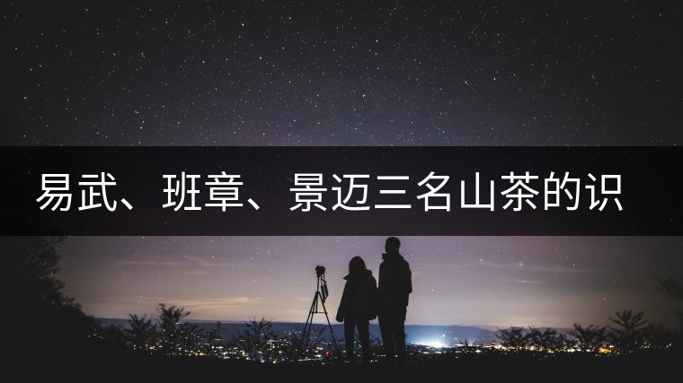 易武、班章、景邁三名山茶的識別