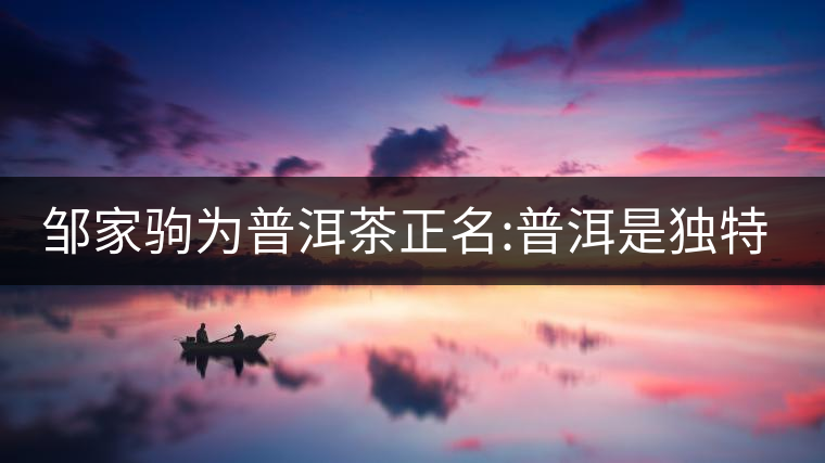 鄒家駒為普洱茶正名:普洱是獨(dú)特茶類 鄒家駒為普洱茶正名:普洱是獨(dú)特茶類
