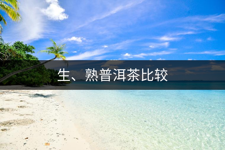 生、熟普洱茶比較