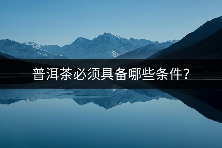 普洱茶必須具備哪些條件？