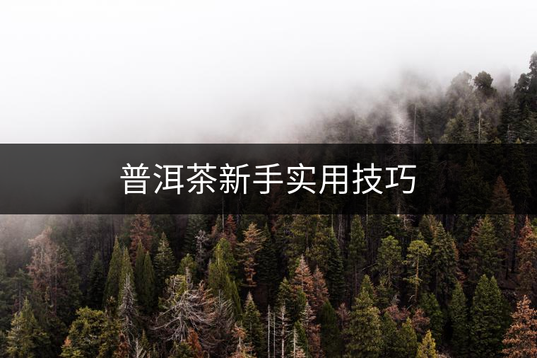 普洱茶新手實(shí)用技巧 普洱茶新手實(shí)用技巧