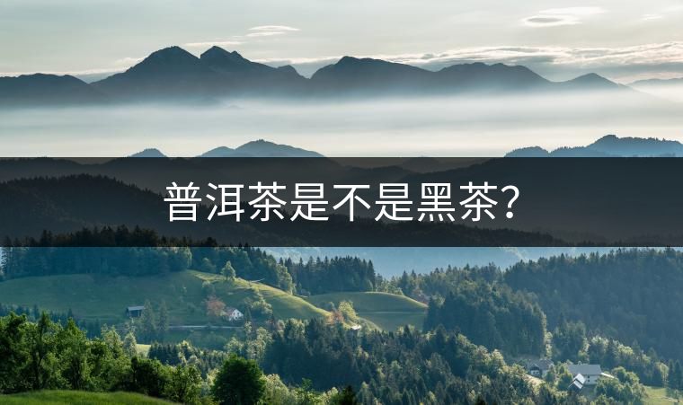 普洱茶是不是黑茶？