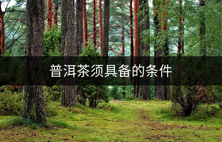 普洱茶須具備的條件 普洱茶須具備的條件