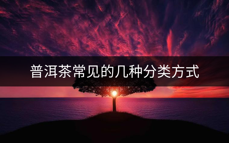 普洱茶常見的幾種分類方式 普洱茶常見的幾種分類方式