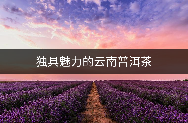 獨(dú)具魅力的云南普洱茶 獨(dú)具魅力的云南普洱茶