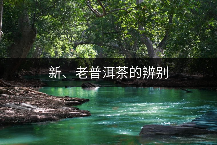 新、老普洱茶的辨別