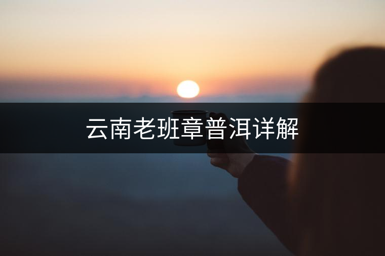 云南老班章普洱詳解