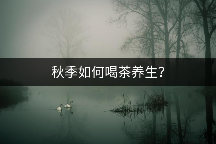 秋季如何喝茶養(yǎng)生？