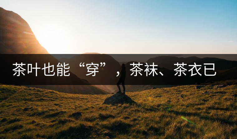 茶葉也能“穿”，茶襪、茶衣已進(jìn)入研發(fā)階段