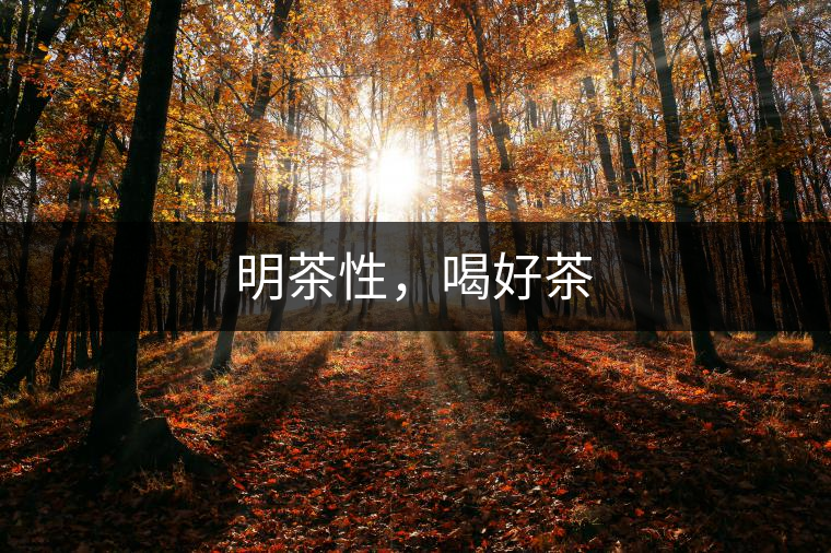 明茶性，喝好茶