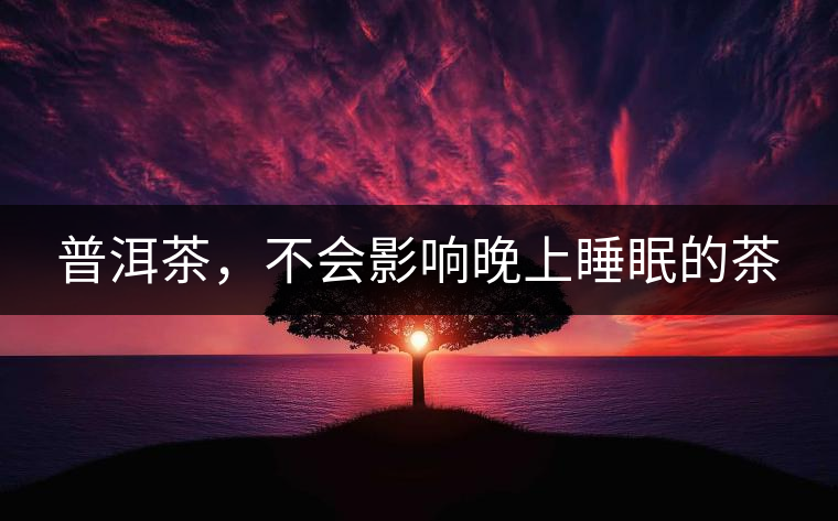普洱茶，不會影響晚上睡眠的茶