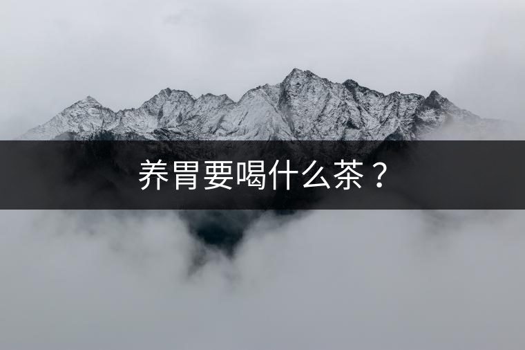 養(yǎng)胃要喝什么茶 ？