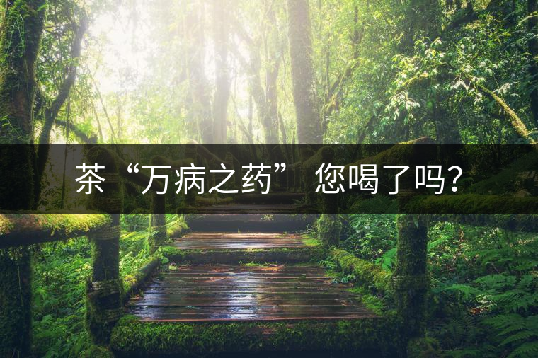 茶“萬(wàn)病之藥” 您喝了嗎？