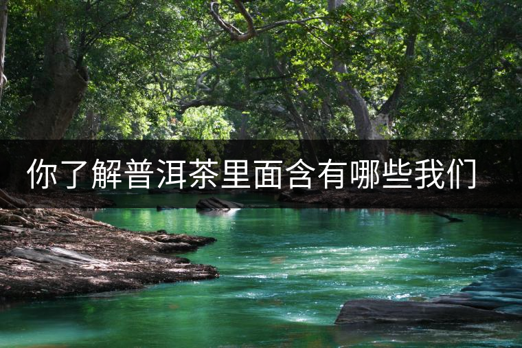 你了解普洱茶里面含有哪些我們?nèi)梭w必備的元素嗎？