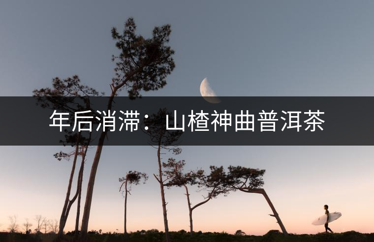 年后消滯:山楂神曲普洱茶 年后消滯:山楂神曲普洱茶