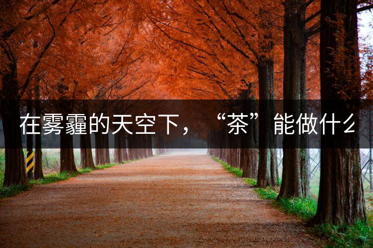 在霧霾的天空下，“茶”能做什么？