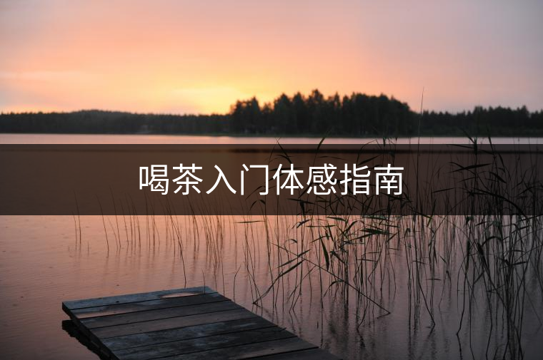 喝茶入門體感指南 喝茶入門體感指南