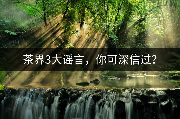 茶界3大謠言，你可深信過？