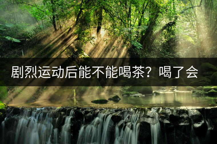 劇烈運動后能不能喝茶？喝了會有什么不適？