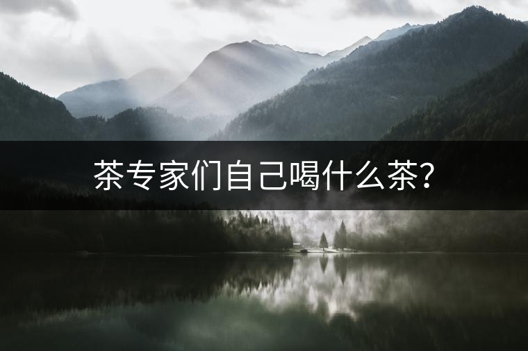 茶專家們自己喝什么茶？