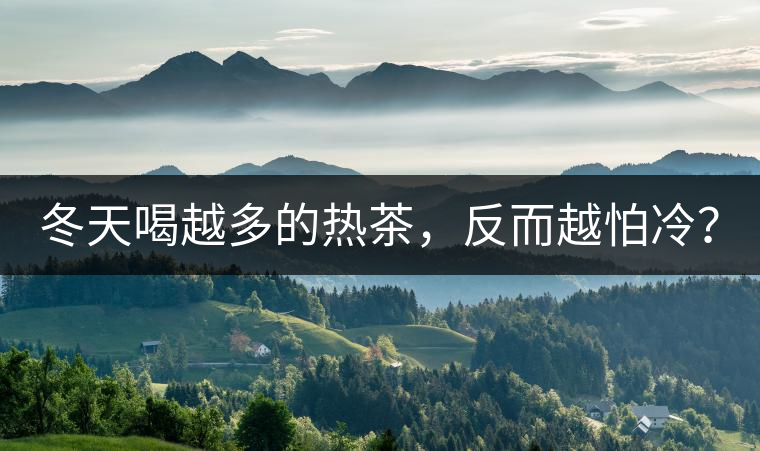 冬天喝越多的熱茶，反而越怕冷？