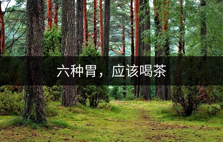 六種胃，應(yīng)該喝茶