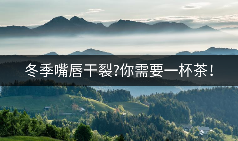 冬季嘴唇干裂?你需要一杯茶！