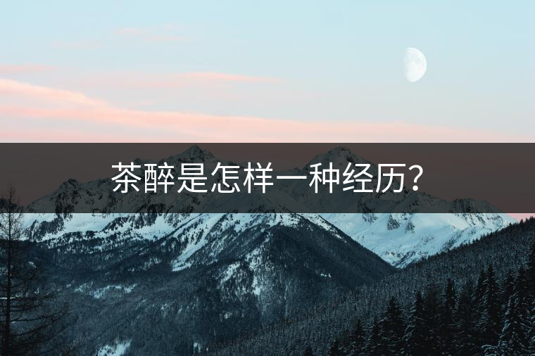 茶醉是怎樣一種經(jīng)歷？