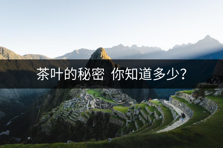 茶葉的秘密  你知道多少？