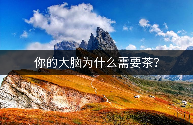 你的大腦為什么需要茶？