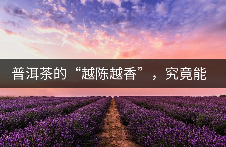 普洱茶的“越陳越香”，究竟能“陳”多久