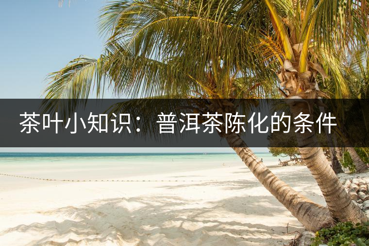 茶葉小知識：普洱茶陳化的條件和方法