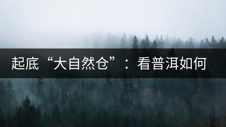 起底“大自然倉(cāng)”:看普洱如何塑造倉(cāng)儲(chǔ)新高地 起底“大自然倉(cāng)”:看普洱如何塑造倉(cāng)儲(chǔ)新高地