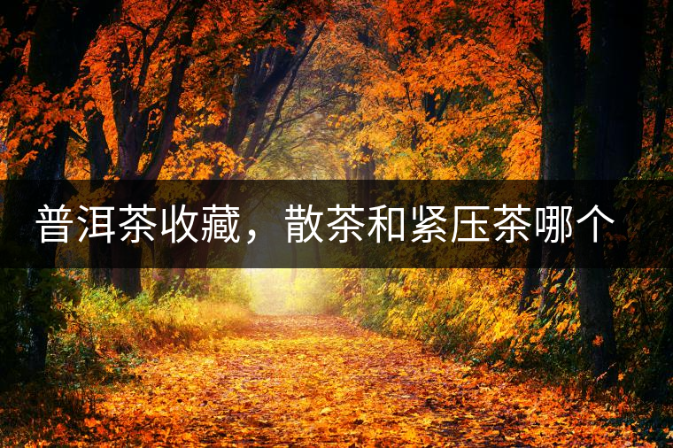 普洱茶收藏，散茶和緊壓茶哪個更好？