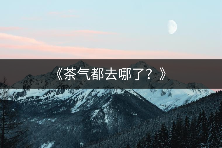 《茶氣都去哪了？》