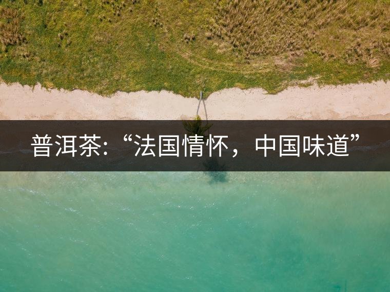 普洱茶:“法國情懷，中國味道”