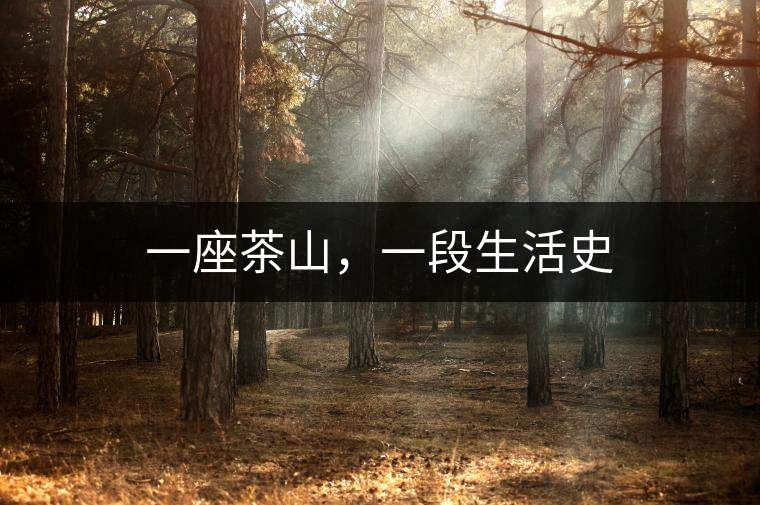 一座茶山，一段生活史