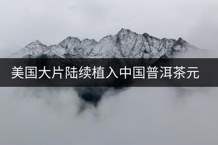 美國大片陸續(xù)植入中國普洱茶元素 美國大片陸續(xù)植入中國普洱茶元素