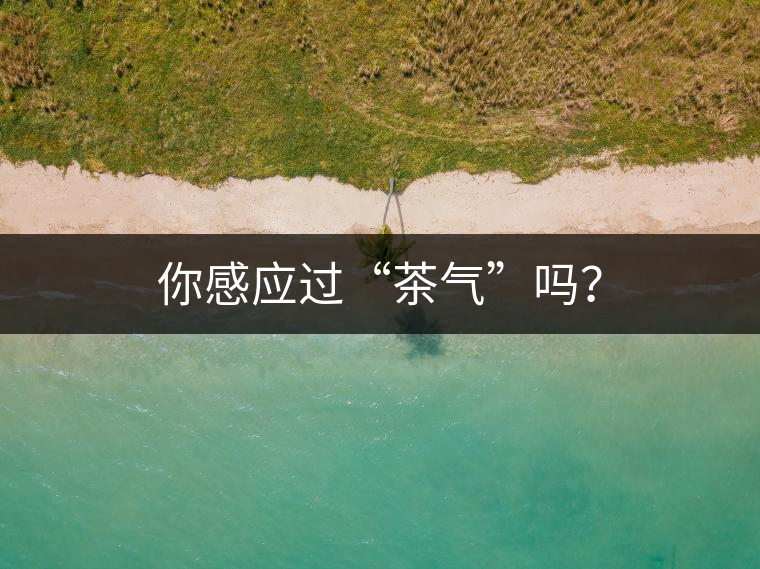 你感應(yīng)過(guò)“茶氣”嗎？