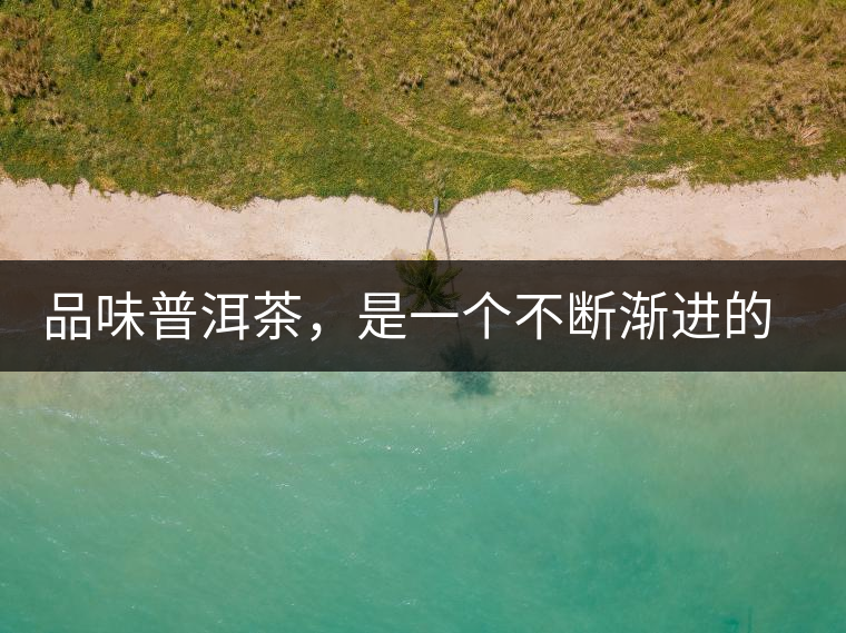 品味普洱茶，是一個不斷漸進的過程